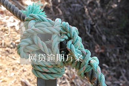 网贷逾期方案 网贷逾期方案