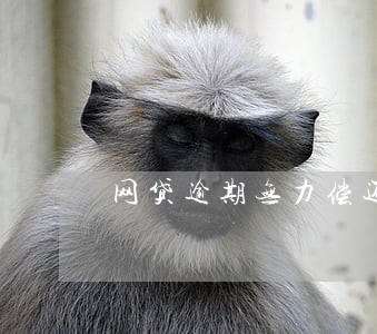 网贷逾期无力偿还不给协商 网贷逾期无力偿还不给协商