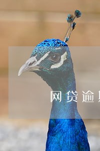 网贷逾期无力偿还了怎么办 网贷逾期无力偿还了怎么办