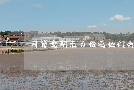 网贷逾期无力偿还他们会怎么做