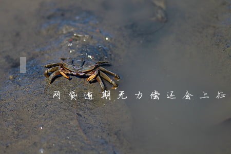 网贷逾期无力偿还会上征信