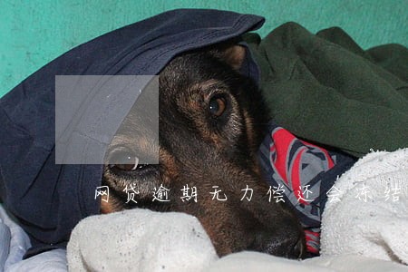 网贷逾期无力偿还会冻结微信吗 网贷逾期无力偿还会冻结微信吗