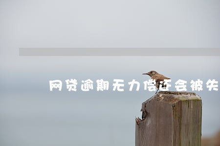 网贷逾期无力偿还会被失信