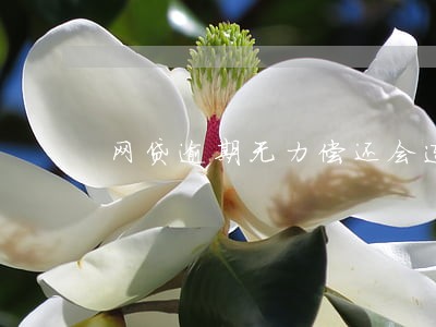 网贷逾期无力偿还会连累家人吗 网贷逾期无力偿还会连累家人吗