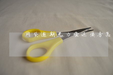 网贷逾期无力偿还债务怎么办 网贷逾期无力偿还债务怎么办