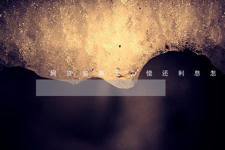 网贷逾期无力偿还利息怎么算 网贷逾期无力偿还利息怎么算