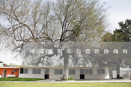 网贷逾期无力偿还协商有用吗 网贷逾期无力偿还协商有用吗