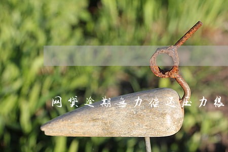 网贷逾期无力偿还压力很大