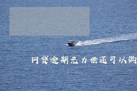 网贷逾期无力偿还可以购买社保吗 网贷逾期无力偿还可以购买社保吗