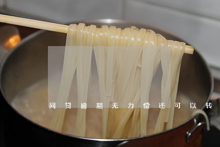 网贷逾期无力偿还可以转债吗 网贷逾期无力偿还可以转债吗