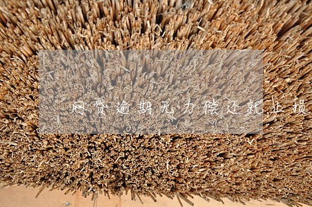 网贷逾期无力偿还就止损吗 网贷逾期无力偿还就止损吗