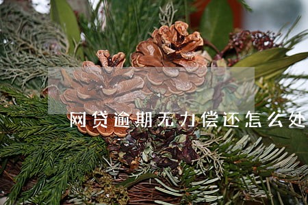 网贷逾期无力偿还怎么处理最近 网贷逾期无力偿还怎么处理最近