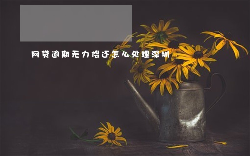 网贷逾期无力偿还怎么处理深圳