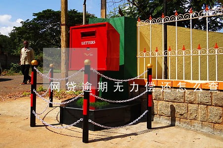 网贷逾期无力偿还怎么查询