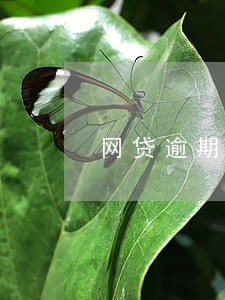 网贷逾期无力偿还怎么求救 网贷逾期无力偿还怎么求救