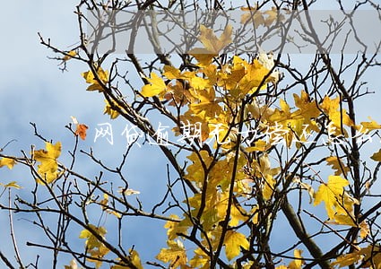 网贷逾期无力偿还怎么沟通 网贷逾期无力偿还怎么沟通