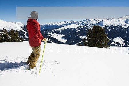 网贷逾期无力偿还想找律师帮忙 网贷逾期无力偿还想找律师帮忙