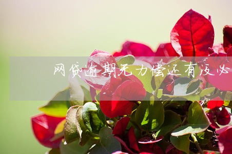 网贷逾期无力偿还有没必要接电话 网贷逾期无力偿还有没必要接电话