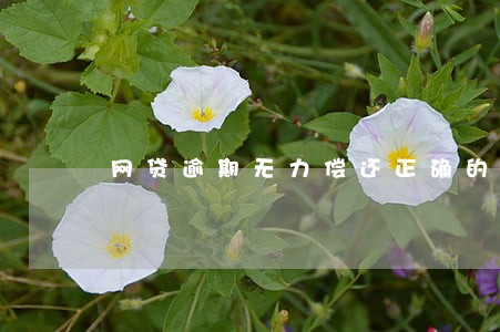 网贷逾期无力偿还正确的应对方式 网贷逾期无力偿还正确的应对方式
