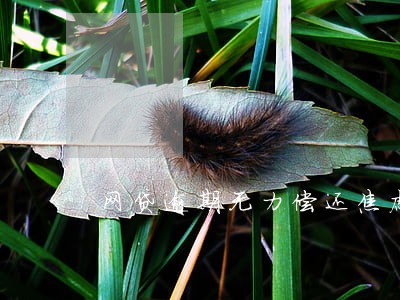 网贷逾期无力偿还焦虑绝望痛苦 网贷逾期无力偿还焦虑绝望痛苦