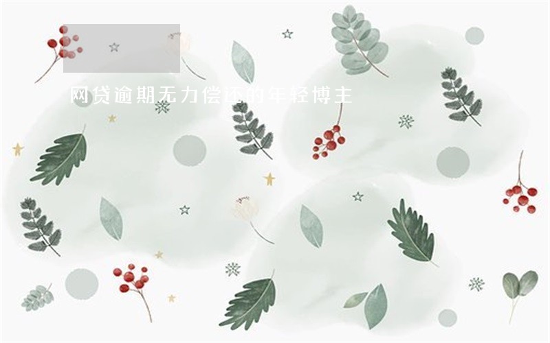 网贷逾期无力偿还的年轻博主 网贷逾期无力偿还的年轻博主