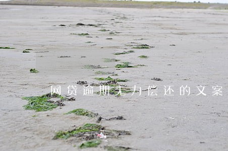 网贷逾期无力偿还的文案 网贷逾期无力偿还的文案