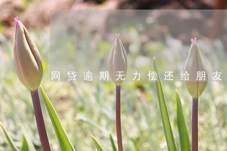 网贷逾期无力偿还给朋友打电话 网贷逾期无力偿还给朋友打电话