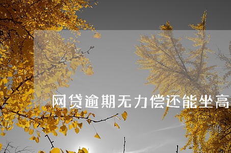 网贷逾期无力偿还能坐高铁吗 网贷逾期无力偿还能坐高铁吗