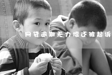 网贷逾期无力偿还被起诉了 网贷逾期无力偿还被起诉了