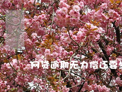 网贷逾期无力偿还要坐牢 网贷逾期无力偿还要坐牢