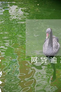网贷逾期无力偿还面临起诉 网贷逾期无力偿还面临起诉