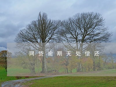 网贷逾期无处偿还 网贷逾期无处偿还