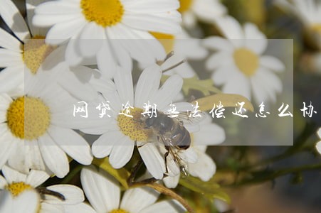 网贷逾期无法偿还怎么协商 网贷逾期无法偿还怎么协商