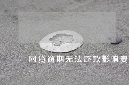 网贷逾期无法还款影响妻子买车吗 网贷逾期无法还款影响妻子买车吗