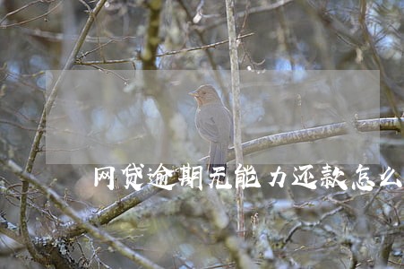 网贷逾期无能力还款怎么办 网贷逾期无能力还款怎么办