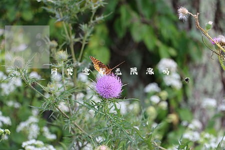 网贷逾期无限涨吗 网贷逾期无限涨吗