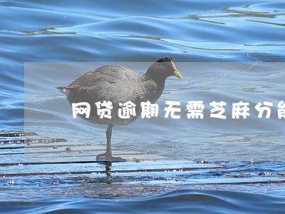 网贷逾期无需芝麻分能借的口子 网贷逾期无需芝麻分能借的口子