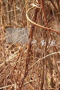 网贷逾期日息多少才是正确的 网贷逾期日息多少才是正确的
