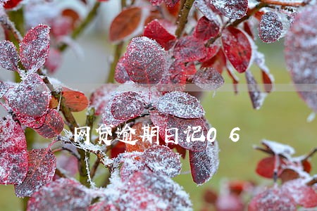 网贷逾期日记06