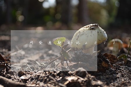 网贷逾期日记2010 网贷逾期日记2010