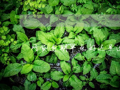 网贷逾期早点好还是逾期晚点好 网贷逾期早点好还是逾期晚点好