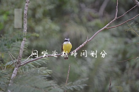 网贷逾期时间划分 网贷逾期时间划分