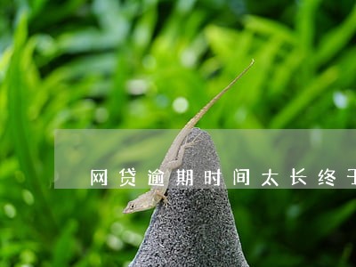 网贷逾期时间太长终于出事