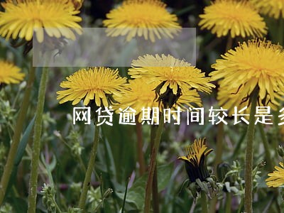 网贷逾期时间较长是多久 网贷逾期时间较长是多久