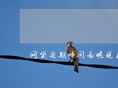 网贷逾期时间长呢现在怎么还 网贷逾期时间长呢现在怎么还