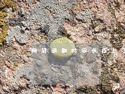 网贷逾期时间长还上了还能用吗 网贷逾期时间长还上了还能用吗
