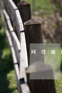 网贷逾期是一个个清理 网贷逾期是一个个清理