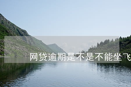 网贷逾期是不是不能坐飞机 网贷逾期是不是不能坐飞机