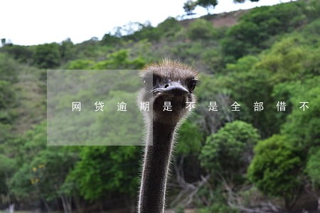 网贷逾期是不是全部借不了 网贷逾期是不是全部借不了