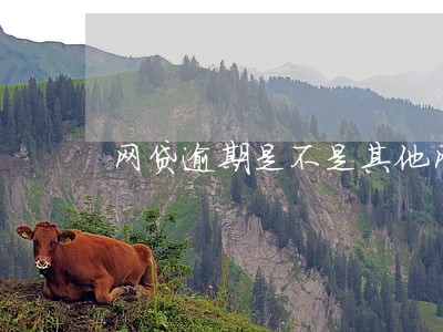 网贷逾期是不是其他网贷秒拒 网贷逾期是不是其他网贷秒拒